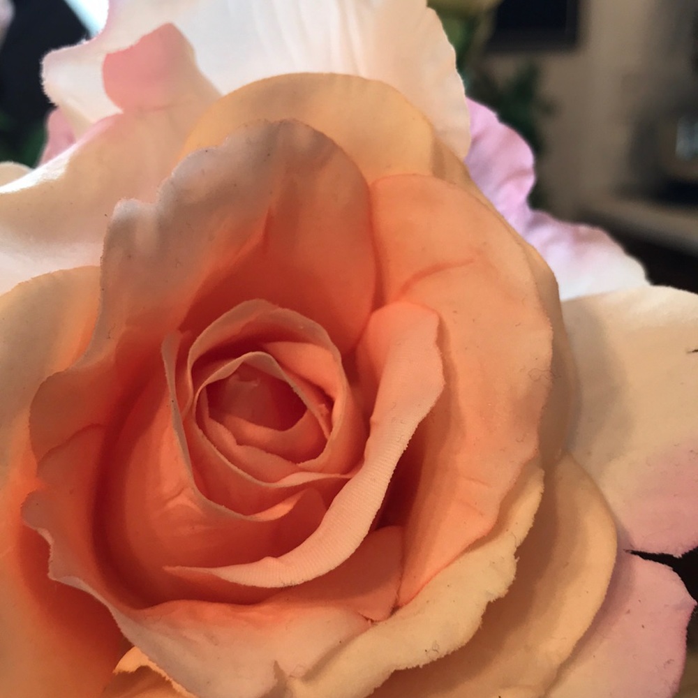 Meet your Posher, Shahnaz